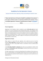 Guideline BA thesis.pdf